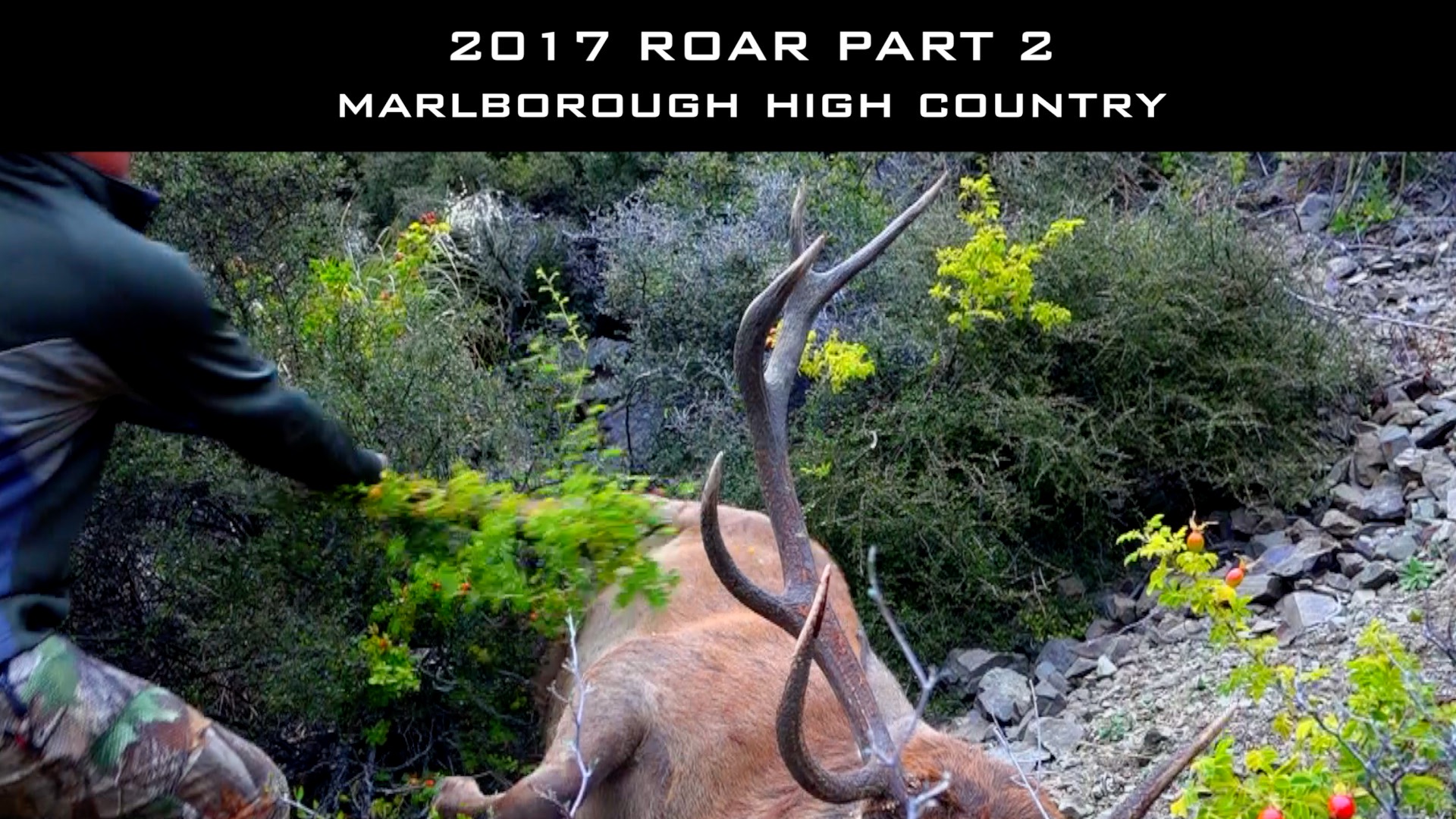 2017 Roar - Part 2